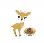 Douceur de Gazelle (100g) enfants & adultes 