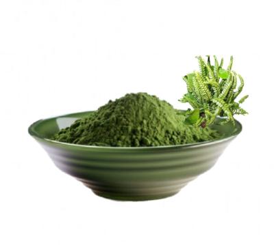 Capillaire verte (100g)