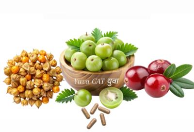 Yuva GAT (125  gélules ayurvédiques)